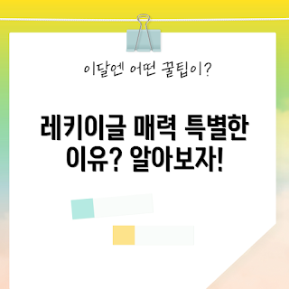 레키이글 매력, 레키이글 특징, 레키이글 인기 이유, 왜 레키이글인가, 레키이글 무엇이 특별한가