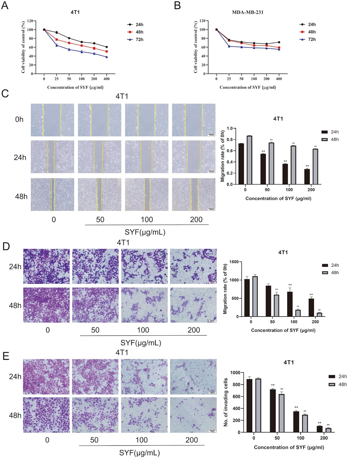 Integrated network pharmacology and experimental verification to explore the potential mechanism of San Ying decoction for treating triple-negative breast cancer