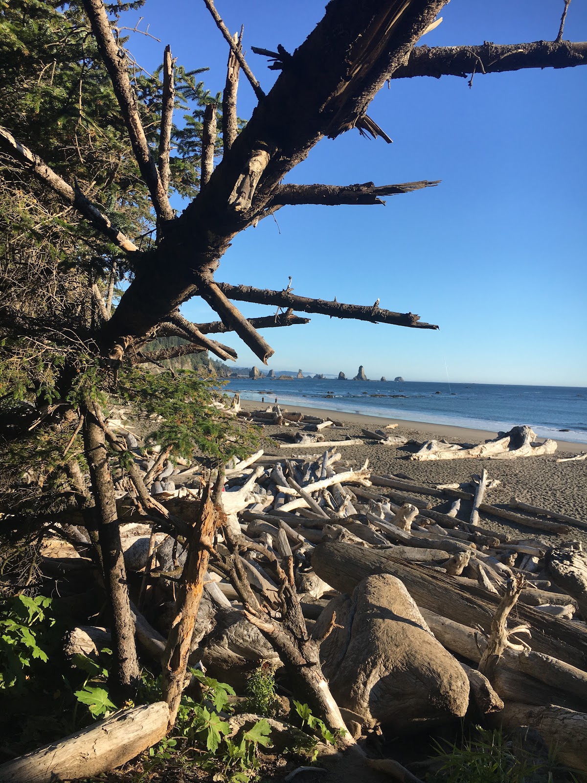 Ceremony photography — ash scattering service