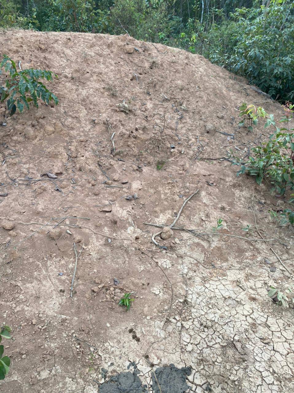 Fazenda em Ribeirão Cascalheiras-MT 4