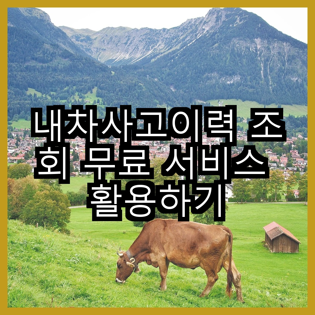 내차사고이력 조회 무료 서비스 활용하기 썸네일