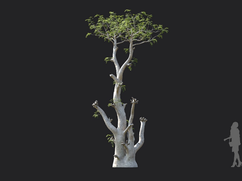 Maxtree - Plant Models Vol.130