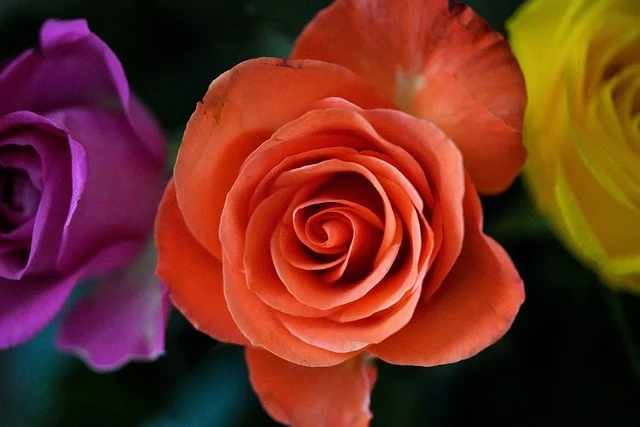 Gambar Ilustrasi Artikel