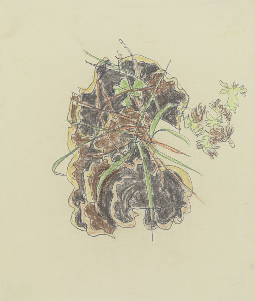 Study of plants