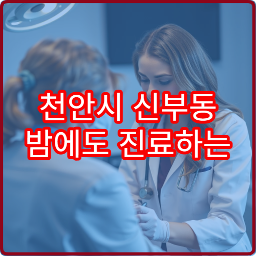 천안시 신부동 밤에도 진료하는 산부인과 야간진료 병원 정보