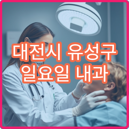 대전시 유성구 일요일 내과 진료 병원 정보 주말 감기 복통 진료 가능