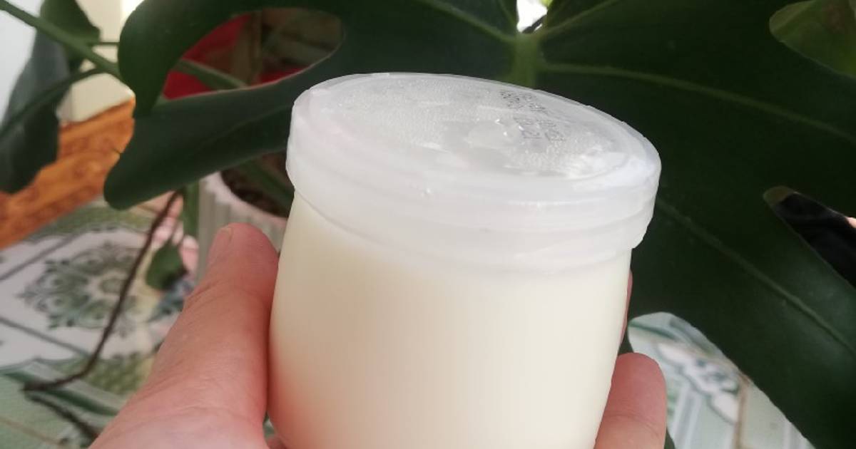 Sữa chua lên men tự ủ