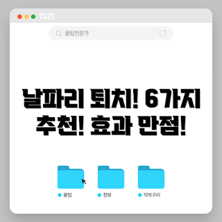 초파리퇴치기, 플라이스틱 트랩, 날파리 제거, 가정용 해충퇴치, 여름 해충 대비