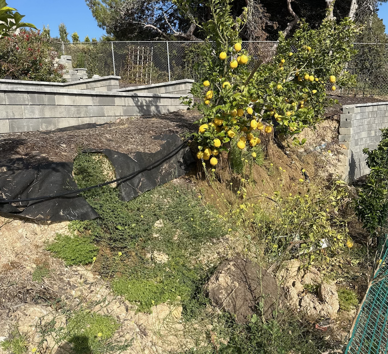 Property condition — erosion and defects