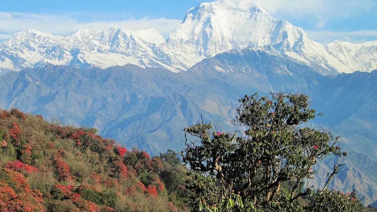 사회적 변화 속 MZ세대 보험 가입 우선순위와 상품별 특징 분석