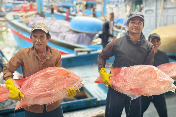 Lộc biển của ngư dân Quảng Ngãi giữa bão giá nhiên liệu - Báo Pháp Luật TP.HCM