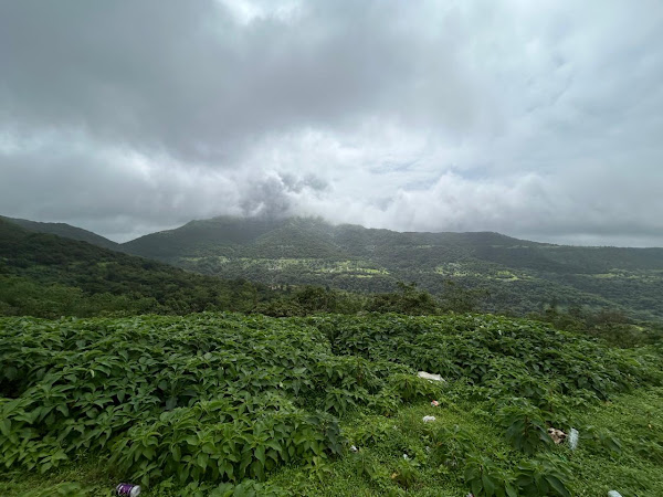 image_1V7qNH-g.jpg
