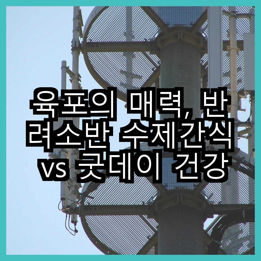 육포의 매력, 반려소반 수제간식 vs 굿데이 건강한 육포, 어떤 선택이 더 좋을까? 썸네일