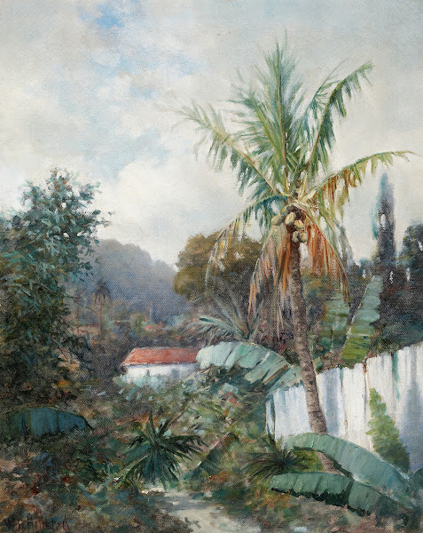 Tropical Landscape