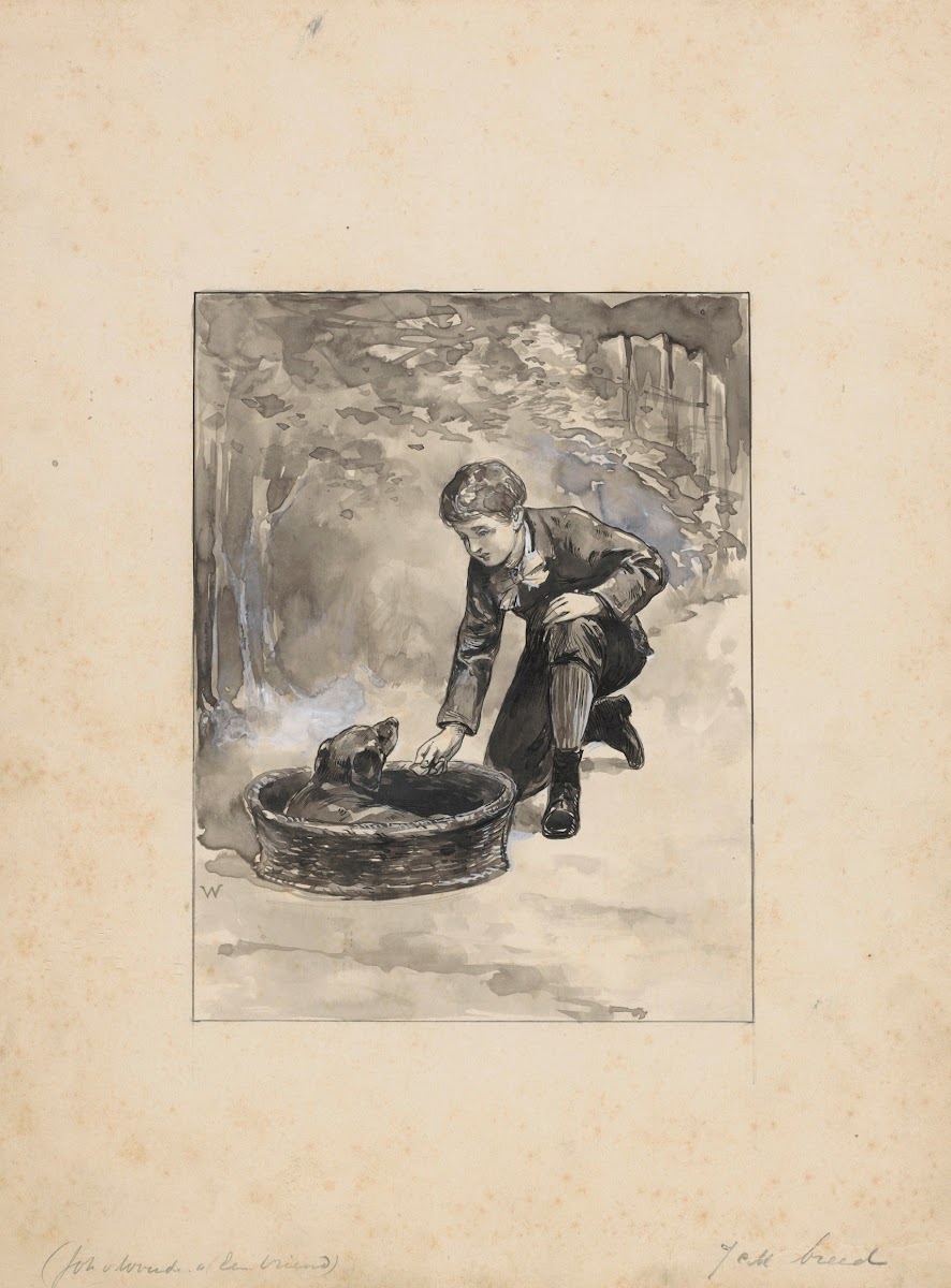 Jongen knielt bij een hond in een mand 1870   1937