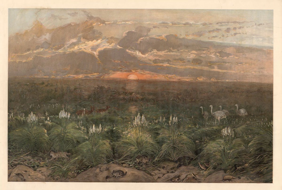 On the Pampas 1920