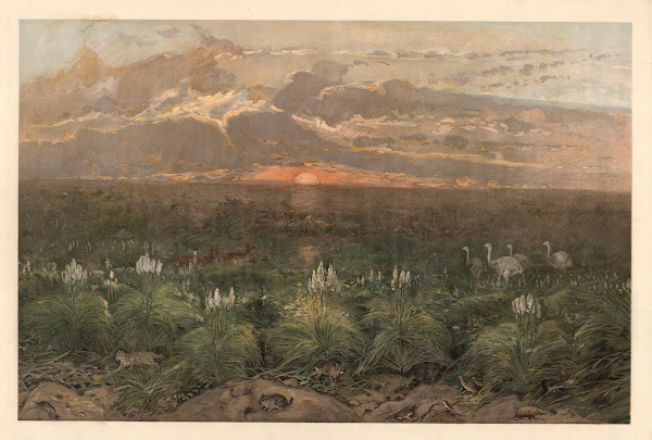 On the Pampas 1920