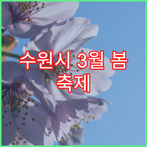 수원시 3월 봄 축제 화성행궁 전통공연 일정과 벚꽃 여행 팁