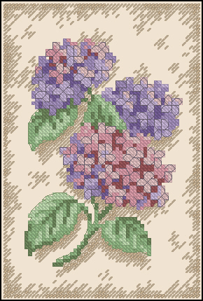 CMP DIM6849 Hydrangea Cutting