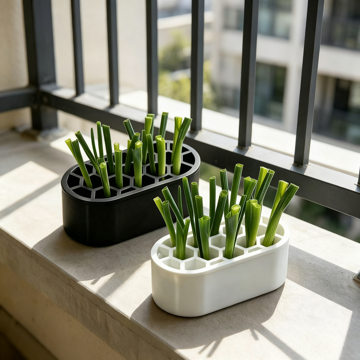 Hydroponic growing box for herbs and vegetables