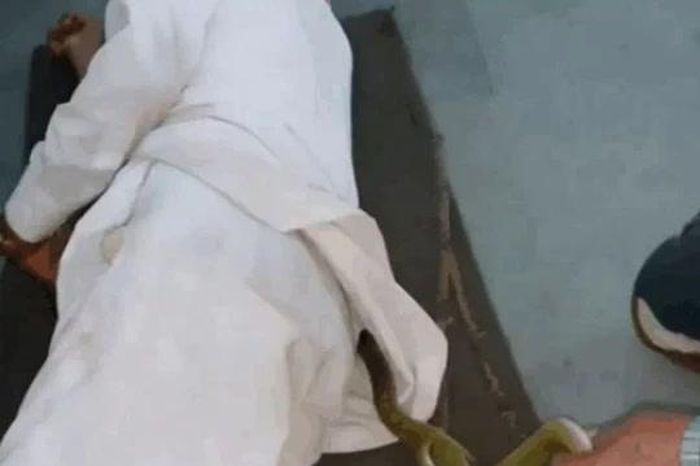 Nằm ngủ ở bệnh viện, người đàn ông bị rắn độc chui vào áo và màn giải cứu 'nghẹt thở' - Tạp chí Doanh Nghiệp Việt Nam