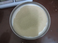 Cho 1 muỗng cà phê men nở vào 260ml sữa tươi, sau đó đổ chúng vào máy nhồi và ủ bột bánh mì. Tiếp đến, đổ 100g bột yến mạch, 400g bột mì, 40g đường và 4g muối vào máy bánh mì, bật máy cho trộn đều thành khối đồng nhất.