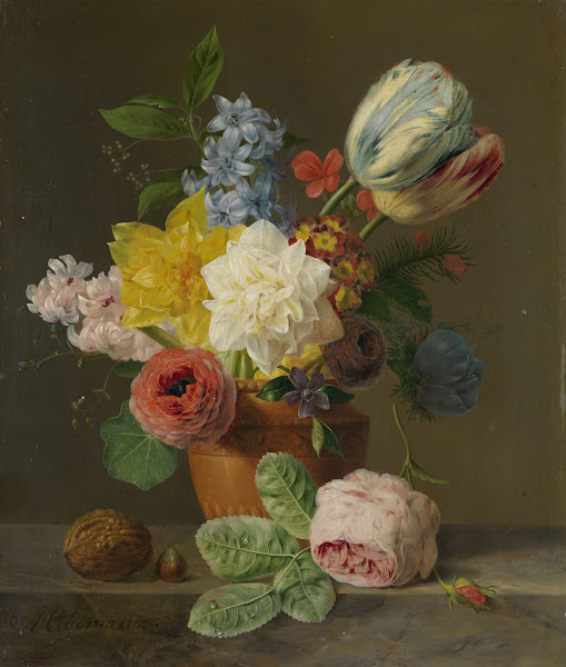The Kitchen Curator