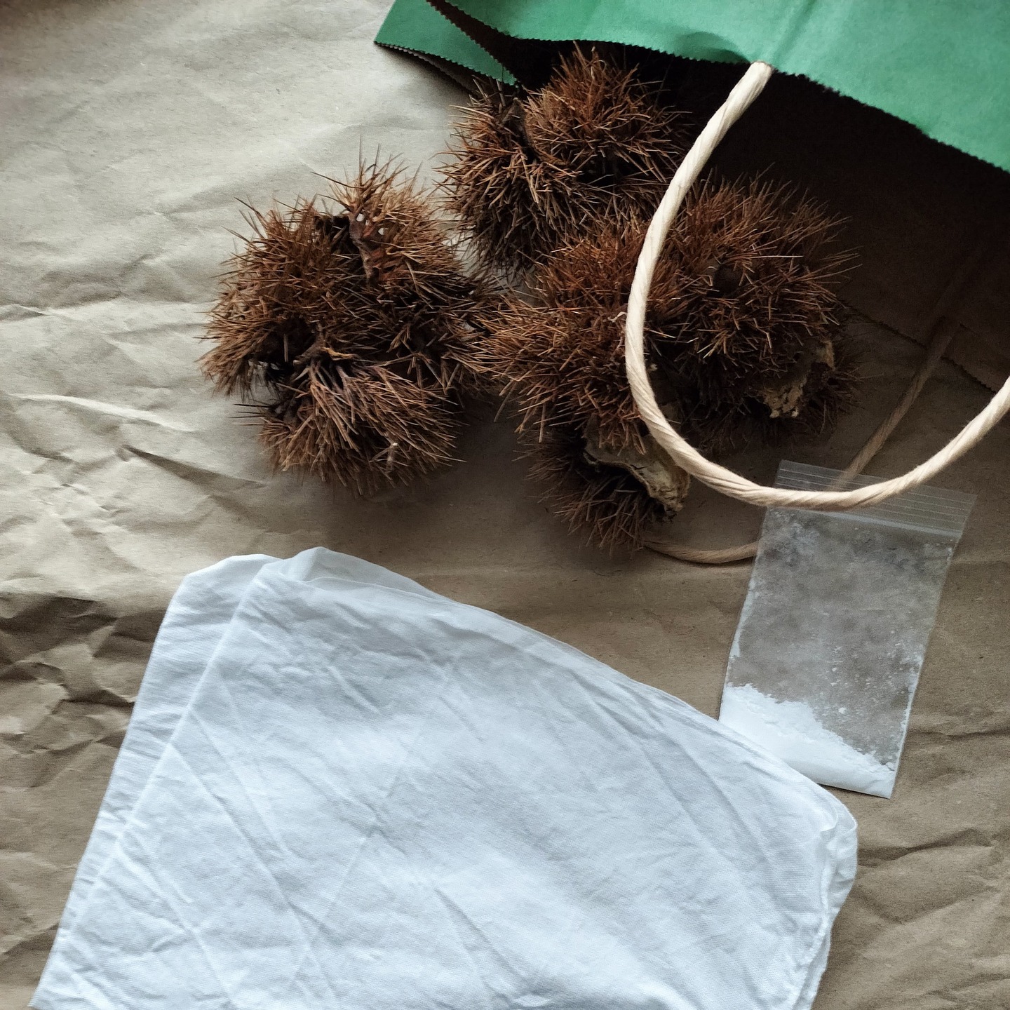 草marukeの画像４