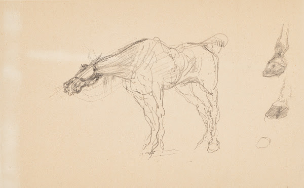 Cheval et sabots circa 1879 1881