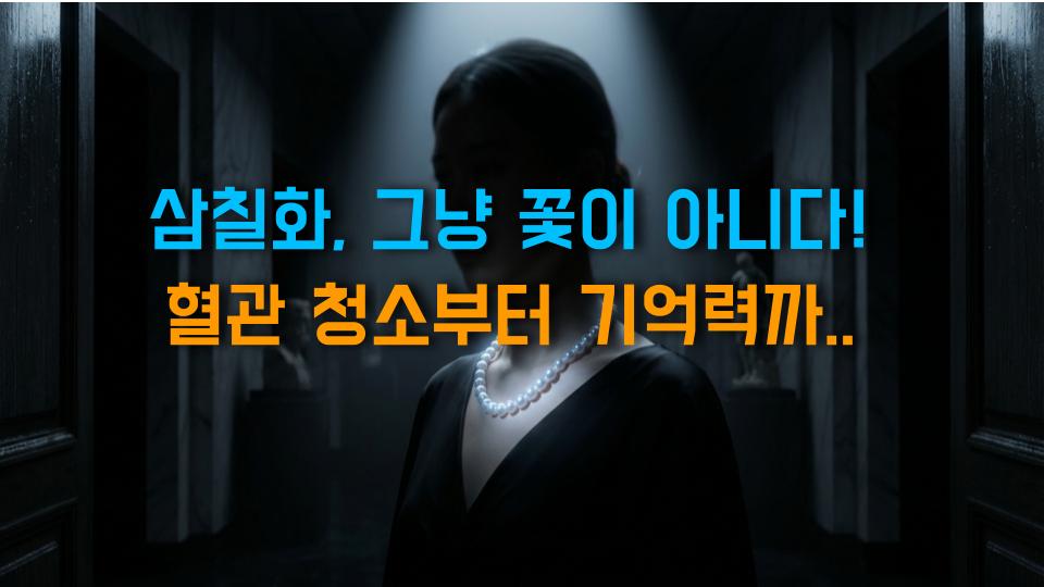 삼칠화, 그냥 꽃이 아니다! 혈관 청소부터 기억력까지 팩트로 파헤쳐보자
