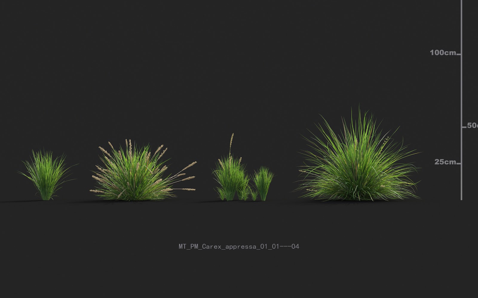 Maxtree - Plant Models Vol.20