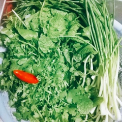 Sơ chế nguyên liệu làm bánh bèo Nghệ An- Thịt heo rửa bằng nước sạch, thái miếng rồi băm nhuyễn.- Tôm đồng tươi cắt bỏ râu và kiếm nhọn, rửa sạch.- Hành lá rửa sạch, thái đốt ngắn 0,5 cm.- Rau húng và rau mùi nhặt lấy ngọn non, lá non, rửa sạch.- Hành khô, tỏi bóc bỏ vỏ, băm nhỏ.- Chanh bỏ hạt, bỏ tôm, vắt vào chén nhỏ lấy nước cốt.- Ớt rửa sạch, tách bỏ hạt, thái lát.