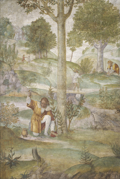 Cephalus Hiding the Jewels c 1520 1522