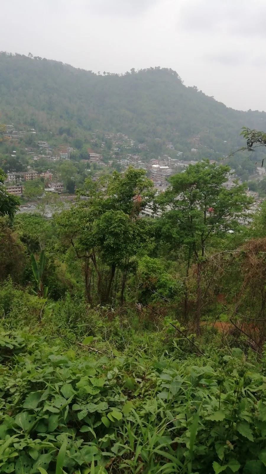 Nongpoh