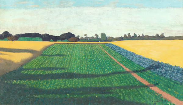 The Fields Plateau Of Red Cross 1914