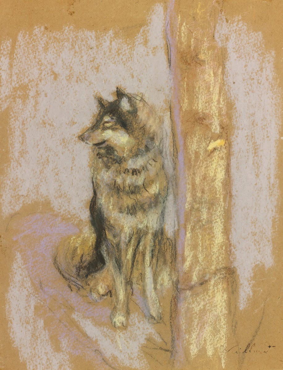 Le Chien LoupÀ Gérardmer