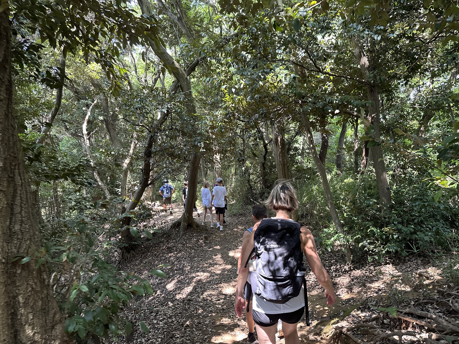 Guided trail running