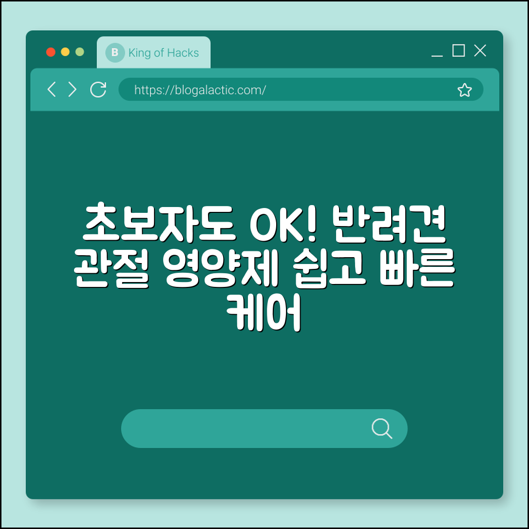 초보자도 쉽게 챙기는 반려견 관절 영양제