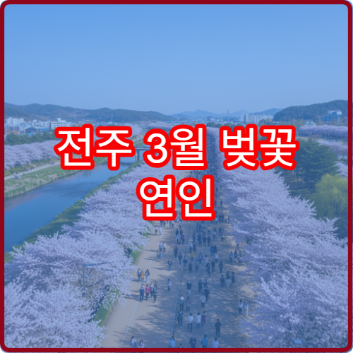 전주 3월 벚꽃 연인 손잡고 걷기 좋은 한옥 평지길