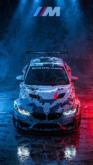 BMW Race Car Picture