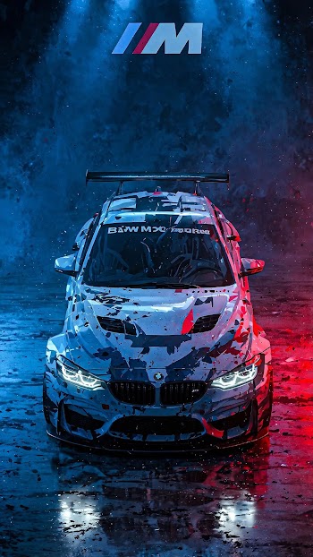 BMW Race Car Picture
