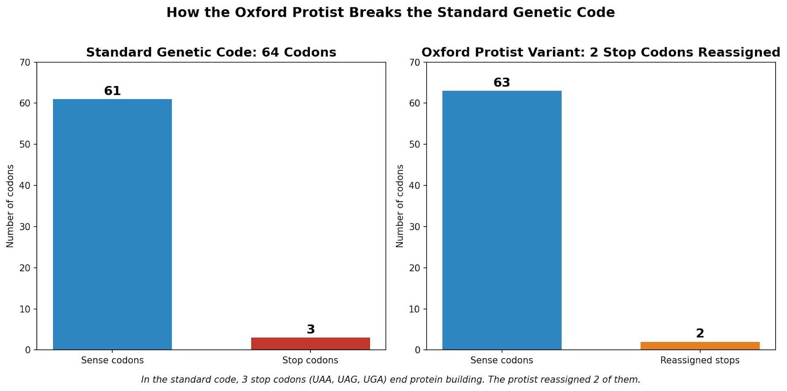 Bar chart comparing the standard genetic code (61 sense codons, 3 stop codons) with the Oxford protist variant (2 stop codons reassigned)