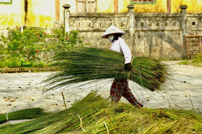 Về làng nghề 'độc nhất vô nhị' hơn 500 tuổi xem người dân đan cỏ thành tiền - Báo VTC News