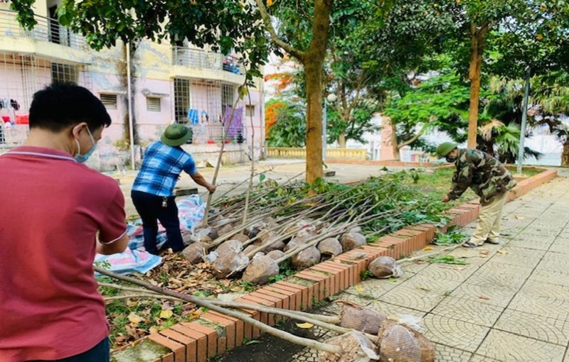 Trường Đại học Tây Bắc hưởng ứng chương trình trồng 1 tỷ cây xanh