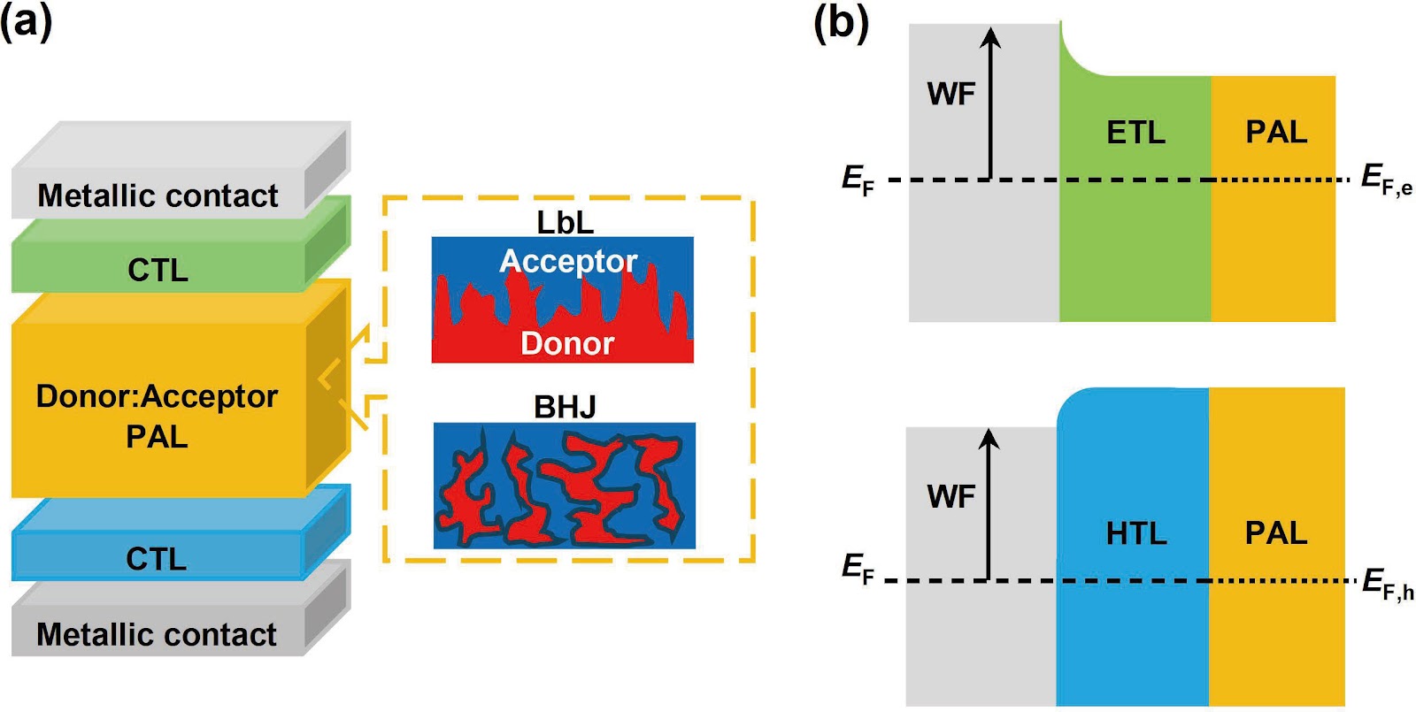 Interface energetics in organic and perovskite semiconductor solar cells