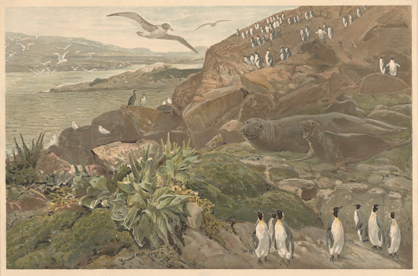 August Specht