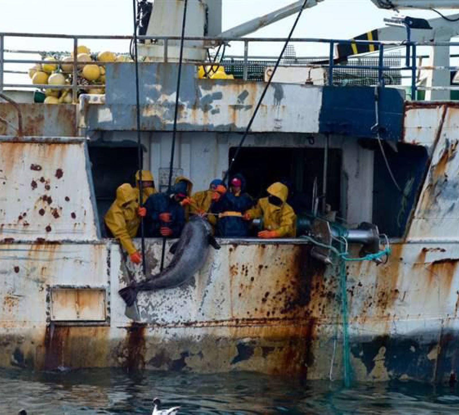 depleted fish stocks, damaged polluted environment, and poverty in coastal communities caused by weak law enforcement, monopoly,  as well as a lack of education, financial support, and technology. Blue Economy Indonesia, Blue economy beginner guide. CarbonEthics Indonesia