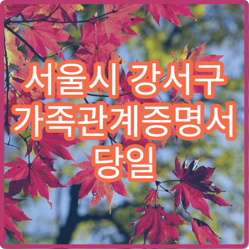 서울시 강서구 가족관계증명서 당일 발급 무인민원발급기 위치와 이용시간