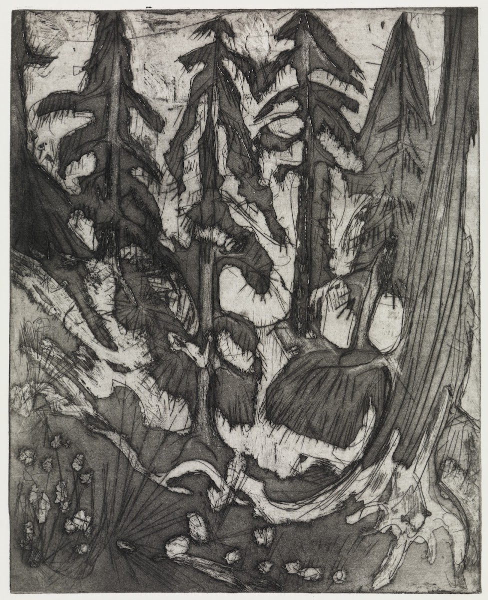 Bergwald