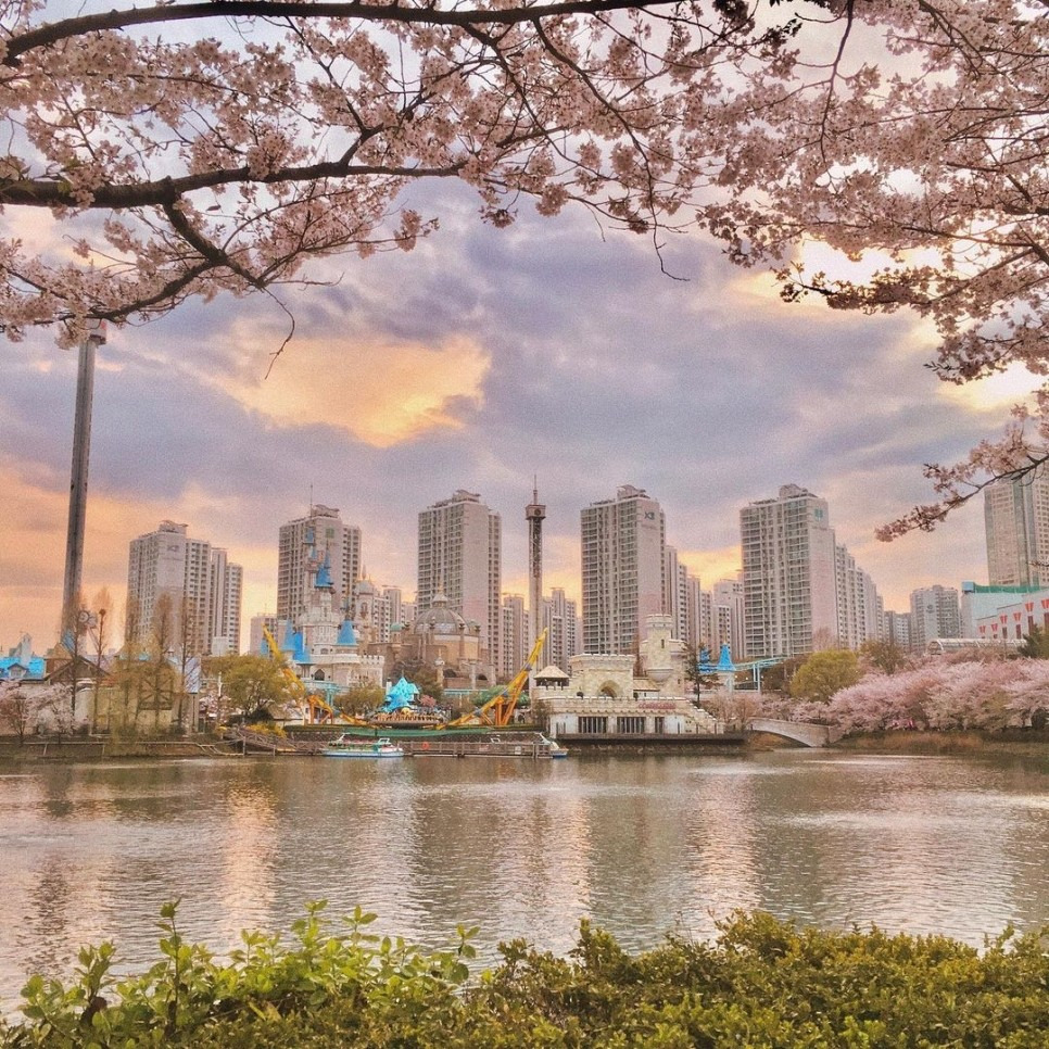 여의도 윤중로 벚꽃 풍경